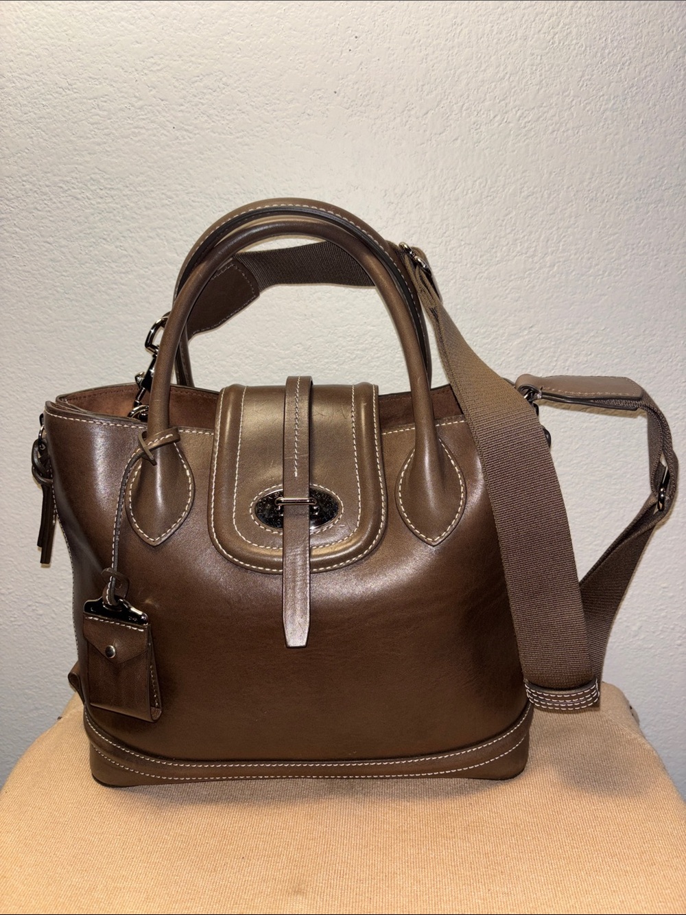 Dooney & Bourke Florentine Toscana side zip satchel: elephant